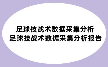 足球技战术数据采集分析 足球技战术数据采集分析报告